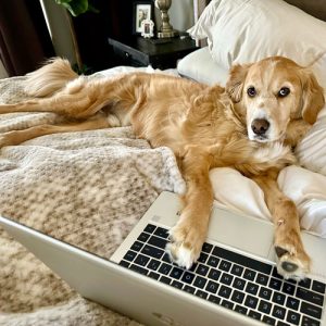 169 Charlie Banfield 500