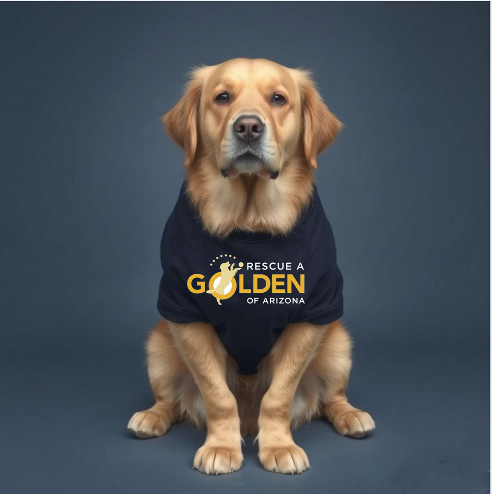 golden retriever wearing RAGofAZ logo t-shirt