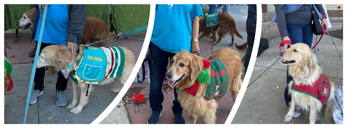 Collage 2024 gift wrap