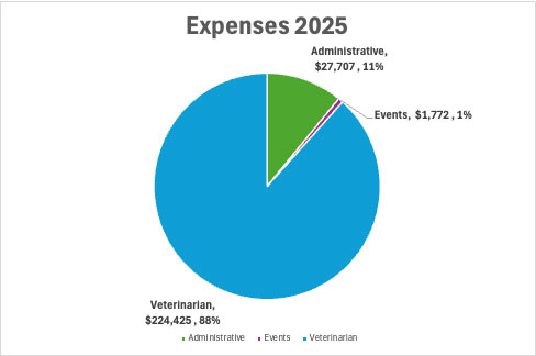 Expenses for 2025