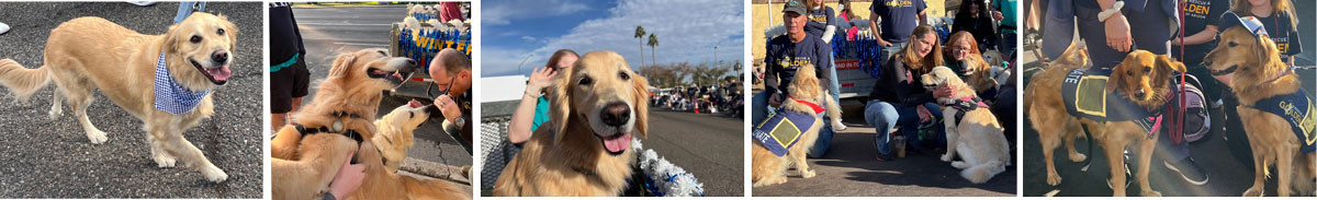 Fiesta Bowl Parade 