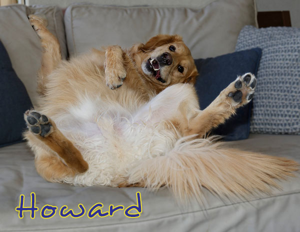 Howard 4094 F