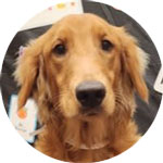 Kirby Stanek OCTOBER from fundraiser page