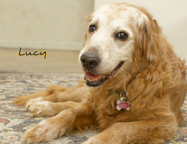 Lucy 3144 Cropped010