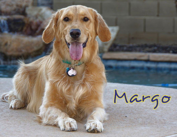 Margo 3904 F