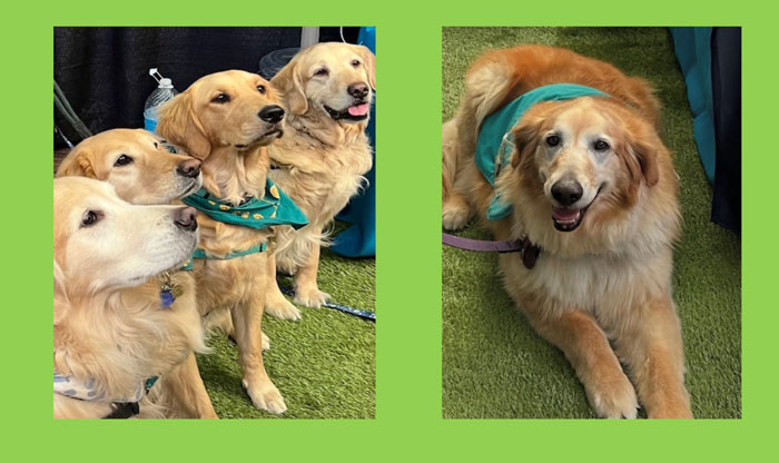 Marketplace Homeshow October 2025