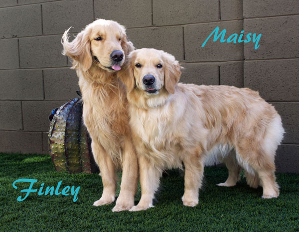 Oct Finley and Maisy