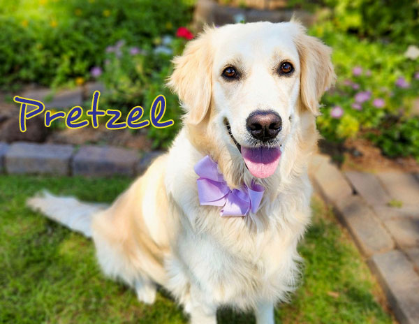 Pretzel2 m F