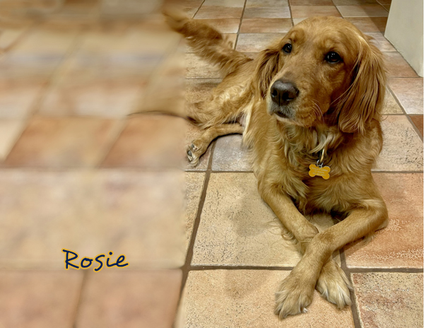 Rosie bl012