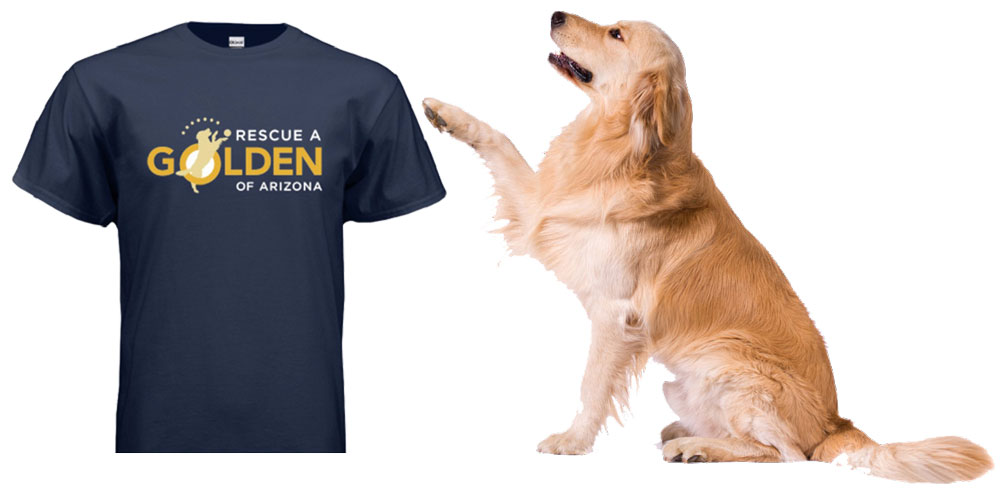 golden retriever with T-shirt