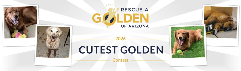 bannertemplate 02 download