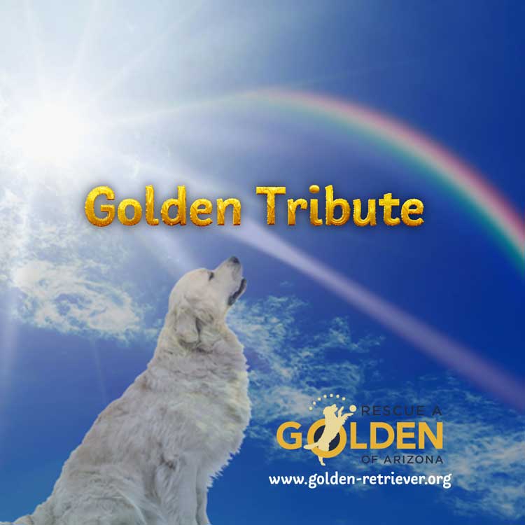 calendar tribute