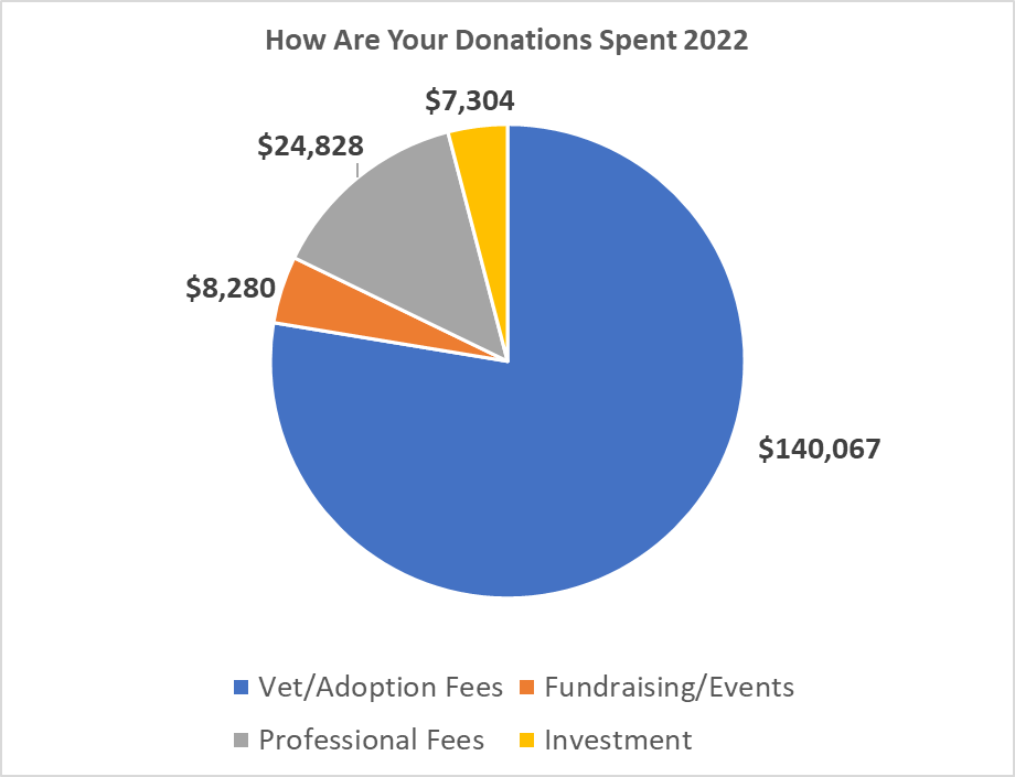 donation chart 2022