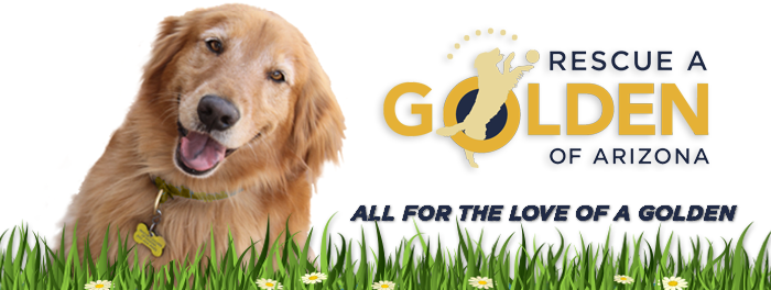 Rescue A Golden logo