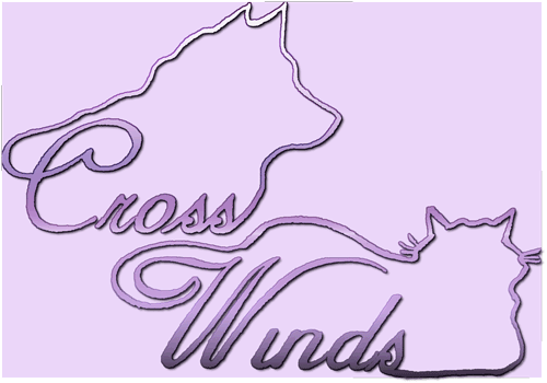 Cross Winds Logo Purple