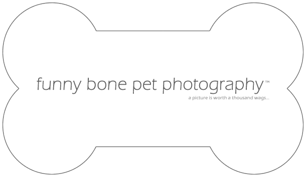 Funny Bone Pet Photography logo for RAGofAZ