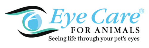eye care for animals