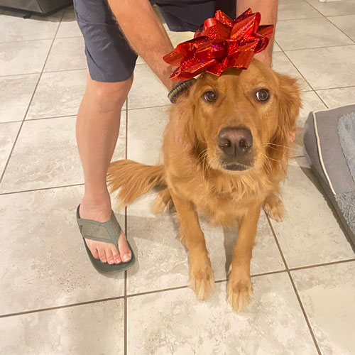 24 156 Banch now Benny1