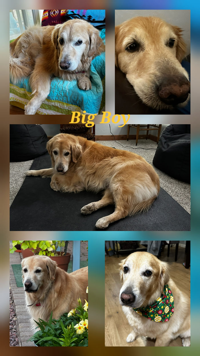 25 063 Big Boy2