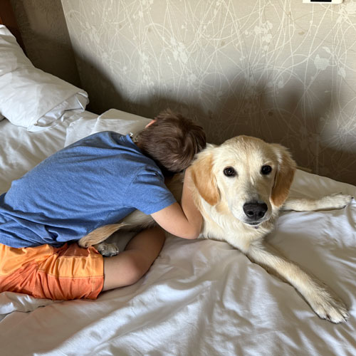 25 011 Viiolet Yellow now Daisy