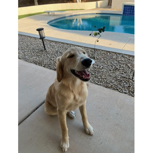 25 012 Violet White now Baylee