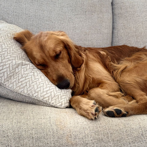 25 022 Hudson now Hash1