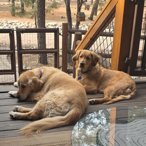 25 031 Tess now Chamonix