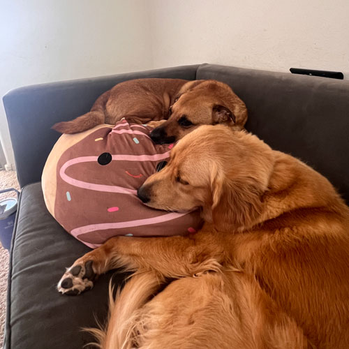 25 041 Max now Rusty