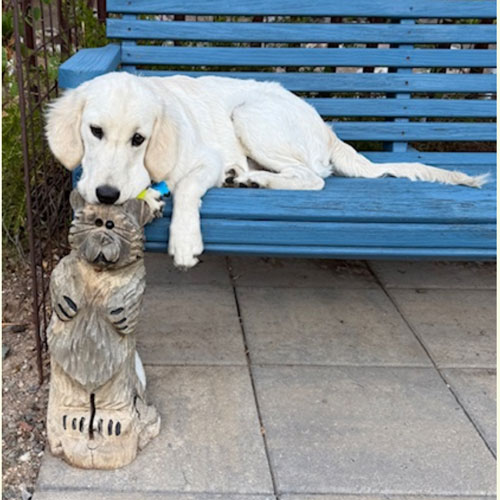 25 051 Little Man now Peabody