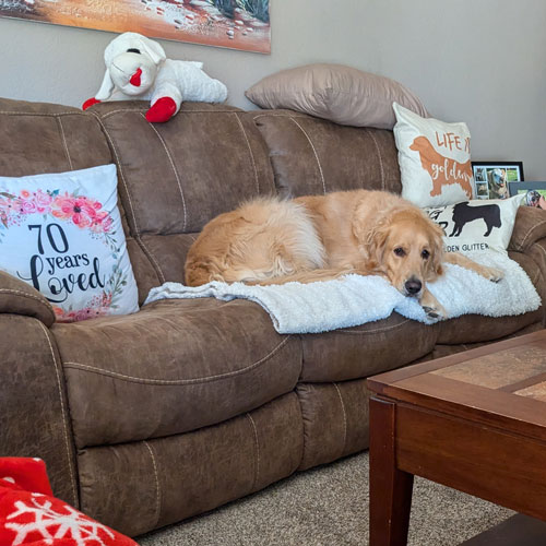 25 052 Marley now Winston