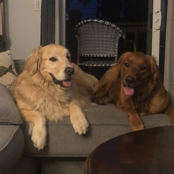 25 053 Maple now Mable