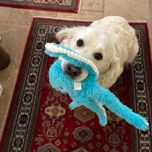 25 054 Haley now Halle