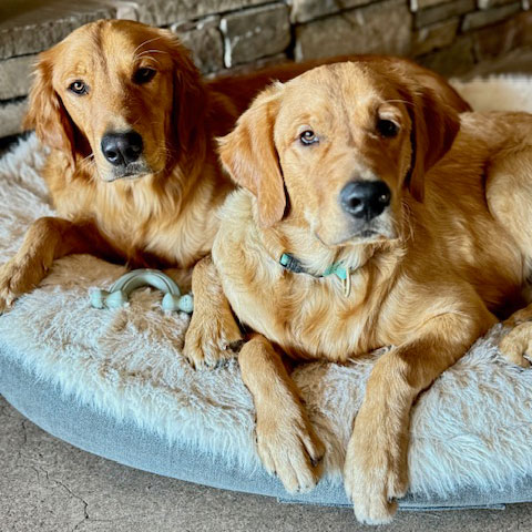 25 j028 Ted now Dipper