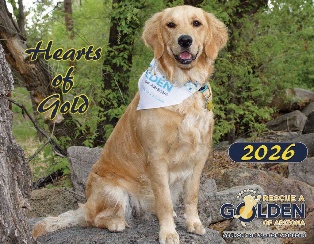 Cover 2026 HOG Calendar Mariah 1200.jpg