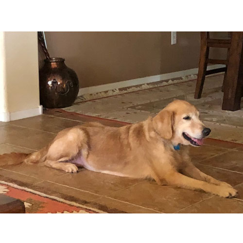 25 082 Lucky now Samantha