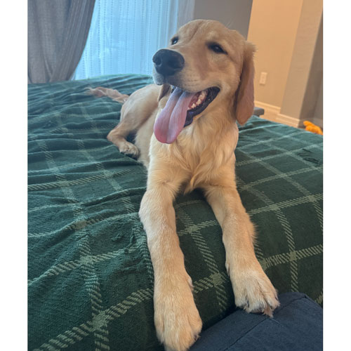 25 057 Philly now Tater