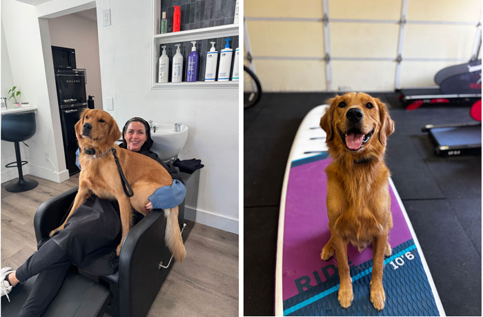 25 061 Shooter now Stone1