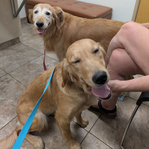 25 065 Caroline now Cara with Bella