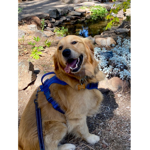 25 068 Ruger now Dug