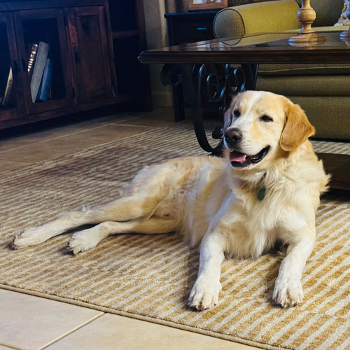 25 070 Bodie now Opie