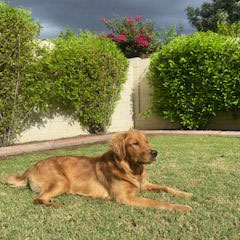 25 086 Daxton now Oliver