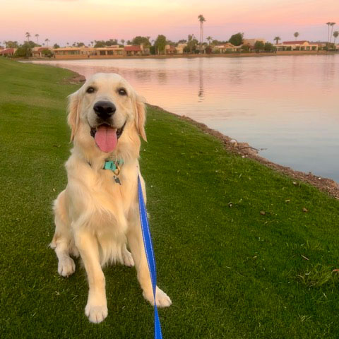 25 087 Jasper now Marshmallow