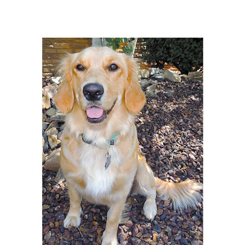 Bella pic from article1