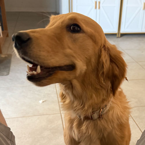 pic from TAB 25 066 Eleanor now Ellie