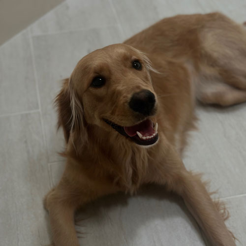 25 077 Kali now Echo