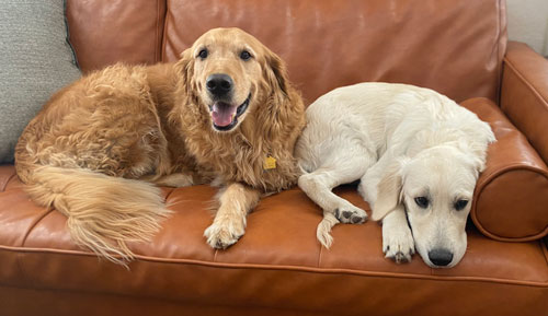 25 075 Lulu now Junie 2