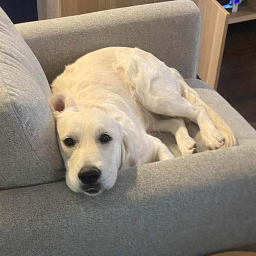 25 075 Lulu now Junie