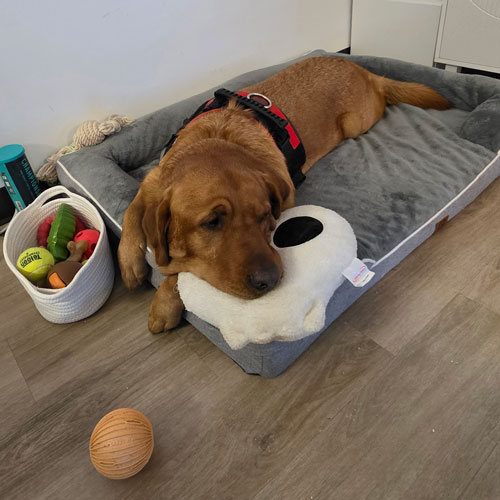 25 100 Oliver now Kershaw