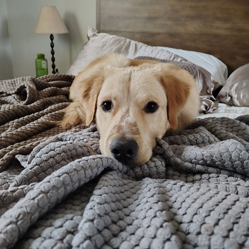 25 112 Cooper now Craig