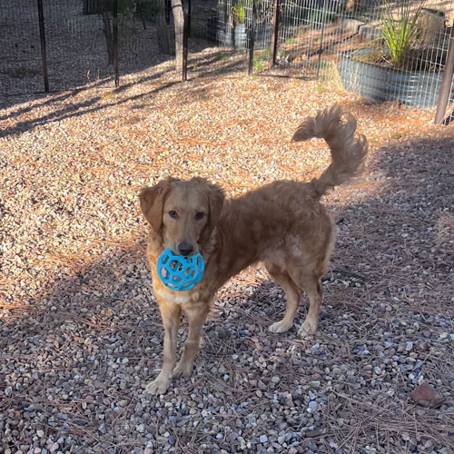 25 113 Sedona now Sophie